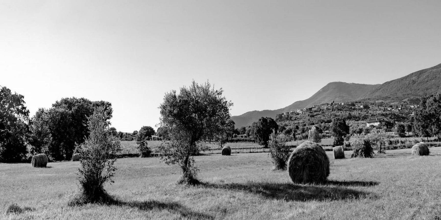 B&B Vico Suites Vico nel Lazio 外观 照片