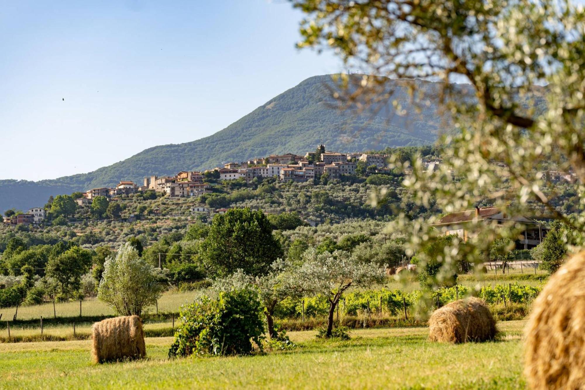 B&B Vico Suites Vico nel Lazio 外观 照片